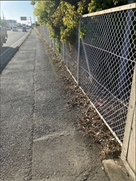 Tree-planting establishment around sites(After)