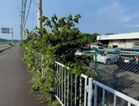 事業所周辺の植栽整備（実施前）