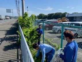 事業所周辺の植栽整備（実施後）