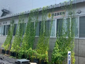 グリーンカーテン設置